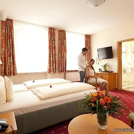 Hotel Akzent Goldner Stern 4*